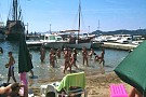 IMG_0124.jpg>
